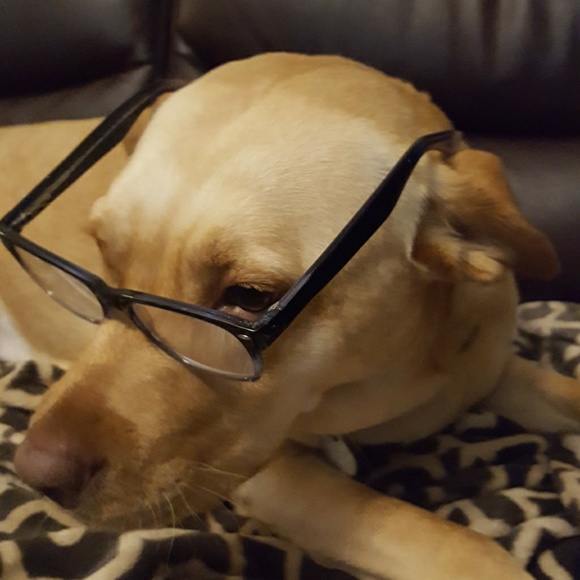 Meet your Posher, P.D. - Picture 5 of 5